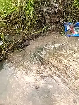 Rahul Razz online show from 10, 9, 2025