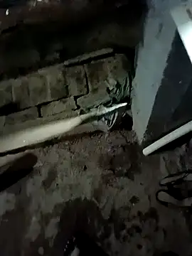 Rahul Razz online show from 19, 10, 2025