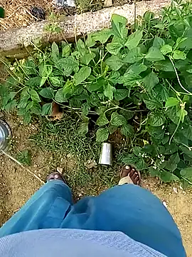 Rahul Razz online show from 21, 10, 2025