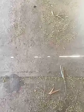 Snapshot of Chico031289 chatting on 28, 10, 2025 Chico031289 online show from 28, 10, 2025