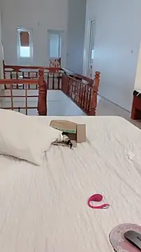 JunCii online show from 31, 10, 2025