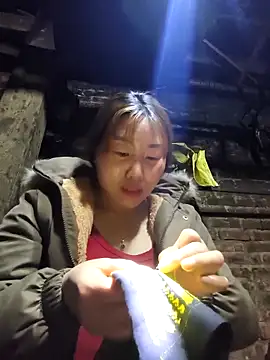 siki-00 online show from 4, 3, 2026