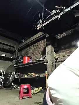 siki-00 online show from 13, 3, 2026