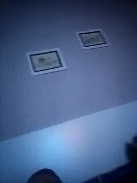 NiceBadgera online show from 21, 9, 2025