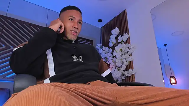 B Wild online show from 3, 2, 2026