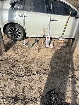 Fengbaby-555 online show from 3, 2, 2026