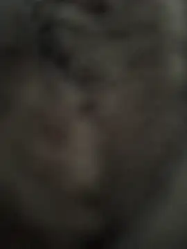 Immerhartundgeil online show from 9, 5, 2026