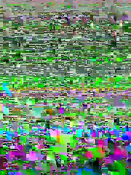 luzmelzinha online show from 2, 5, 2026