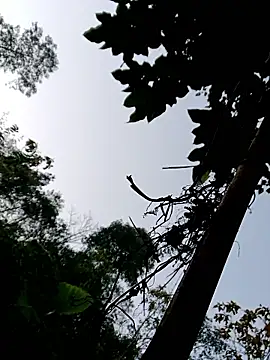 kemtuoi-sex online show from 11, 1, 2026