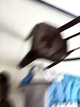 Chanderi19 online show from 30, 9, 2025