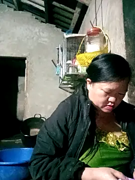 riso-00 online show from 7, 1, 2026