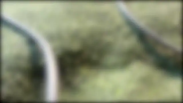 AzureEyes online show from 24, 2, 2026