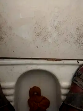 Snapshot of haryanaboypanipat12 chatting on 17, 3, 2026 haryanaboypanipat12 online show from 17, 3, 2026