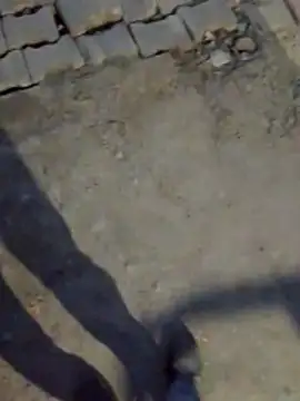 Snapshot of haryanaboypanipat12 chatting on 17, 3, 2026 haryanaboypanipat12 online show from 17, 3, 2026