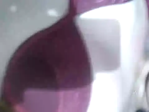 Cachorrinha2025 online show from 21, 9, 2025