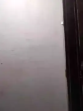 Cachorrinha2025 online show from 9, 11, 2025