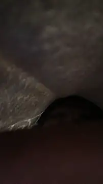 panganamno online show from 15, 11, 2025