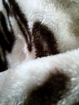 Snapshot of bold_guy_1234 chatting on 17, 12, 2025 bold guy 1234 online show from 17, 12, 2025