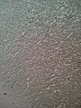 Snapshot of bold_guy_1234 chatting on 30, 3, 2026 bold guy 1234 online show from 30, 3, 2026