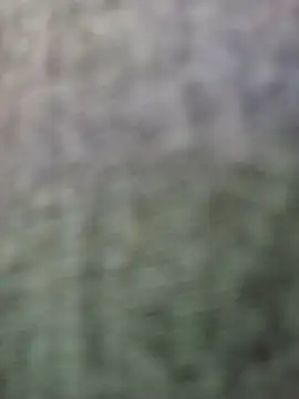 Snapshot of JeffersonRay chatting on 7, 1, 2026 JeffersonRay online show from 7, 1, 2026