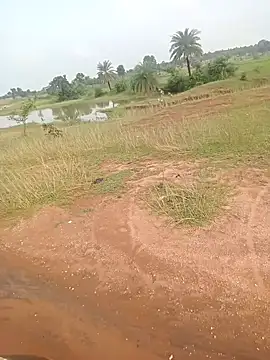 Snapshot of AgitatedStrip9 chatting on 22, 9, 2025 AgitatedStrip9 online show from 22, 9, 2025