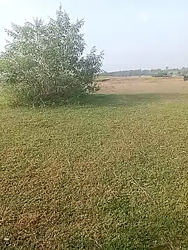 Snapshot of AgitatedStrip9 chatting on 1, 10, 2025 AgitatedStrip9 online show from 1, 10, 2025