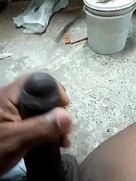 preto3561 online show from 4, 3, 2026