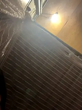 Tramy xx online show from 31, 10, 2025