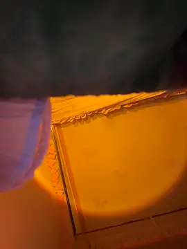 Tramy xx online show from 6, 1, 2026