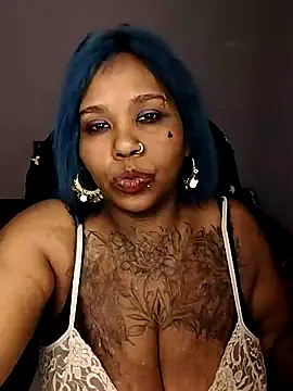 Javel123 online show from 28, 7, 2026