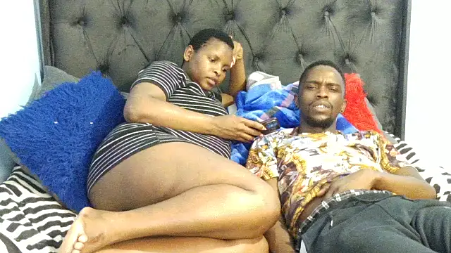 Dandelion enigman online show from 27, 11, 2025