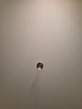 brunettebabexo3 online show from 12, 2, 2026