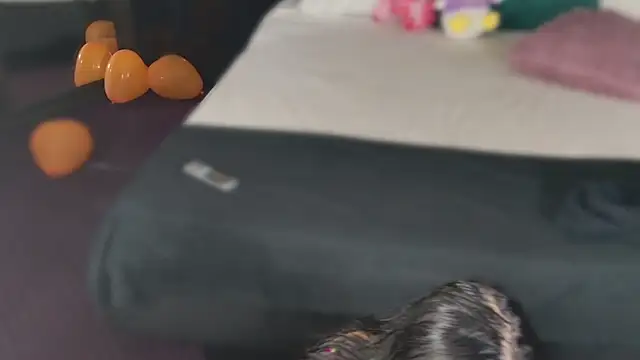 MeganSin  online show from 6, 11, 2025