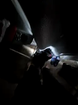 Salsicha244 online show from 8, 3, 2026