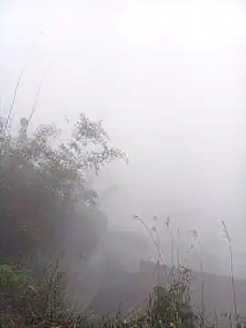 Mai lovely online show from 9, 3, 2026