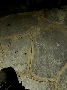 gptre online show from 30, 9, 2025