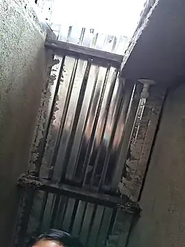 young dairy01 online show from 18, 3, 2026