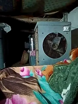 Lona2525 online show from 16, 2, 2026