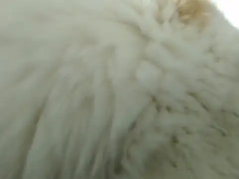 DirtyNotLimits  online show from 28, 10, 2025