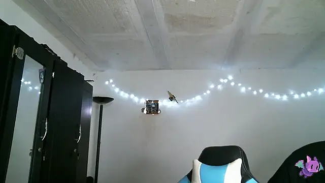 Dickie Dicking online show from 17, 3, 2026