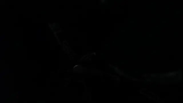 SteveDickson  online show from 14, 10, 2025