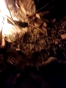 Sikici0734 online show from 6, 10, 2025