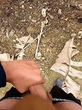 Sikici0734 online show from 1, 4, 2026