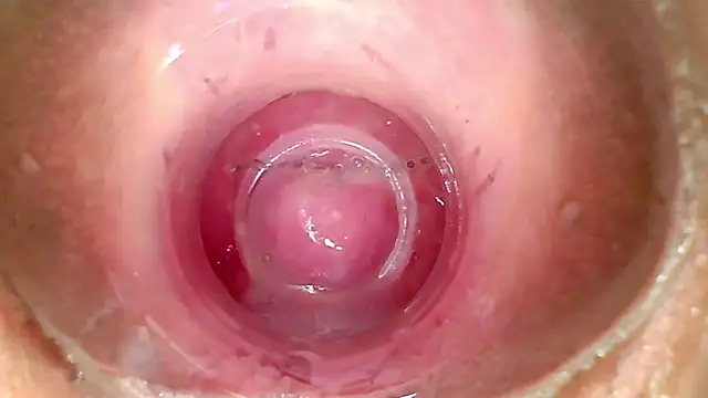 shannon kinne  online show from 1, 4, 2026