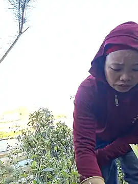 miomio-12 online show from 25, 11, 2025