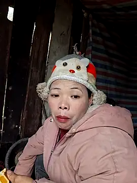 miomio-12 online show from 7, 1, 2026