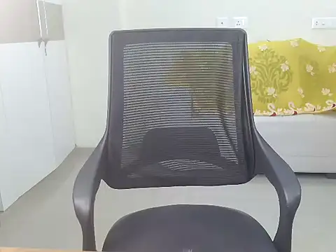 Meadow rain1 online show from 8, 10, 2025