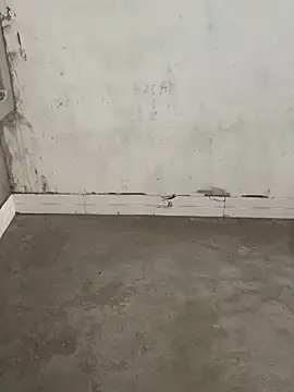 Rani hot2 online show from 8, 10, 2025