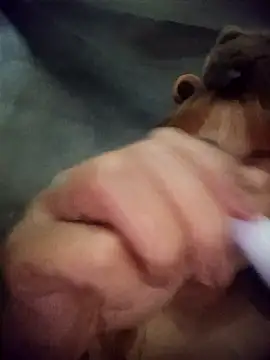 Rabbit-small online show from 20, 3, 2026