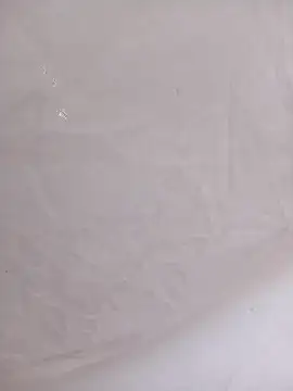 Mcbellorj online show from 1, 11, 2025